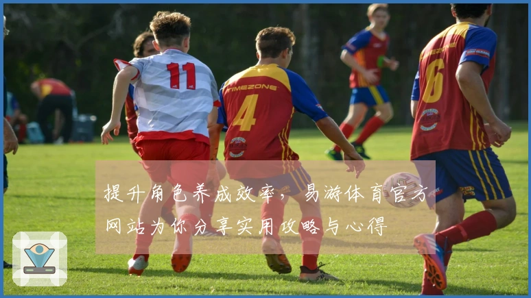 提升角色养成效率，易游体育官方网站为你分享实用攻略与心得
