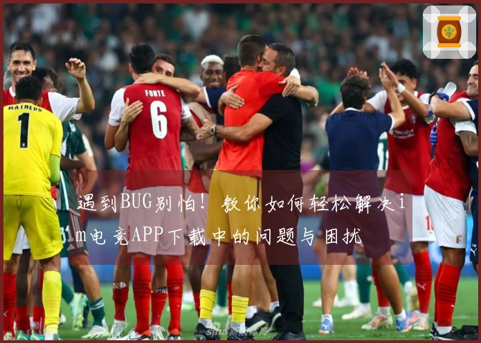 遇到BUG别怕！教你如何轻松解决im电竞APP下载中的问题与困扰