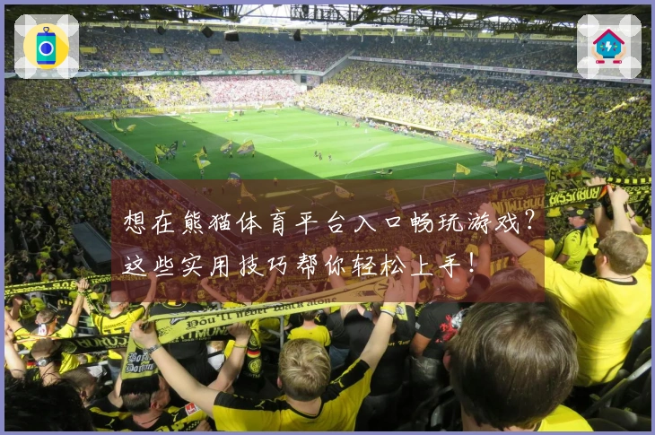 想在熊猫体育平台入口畅玩游戏？这些实用技巧帮你轻松上手！