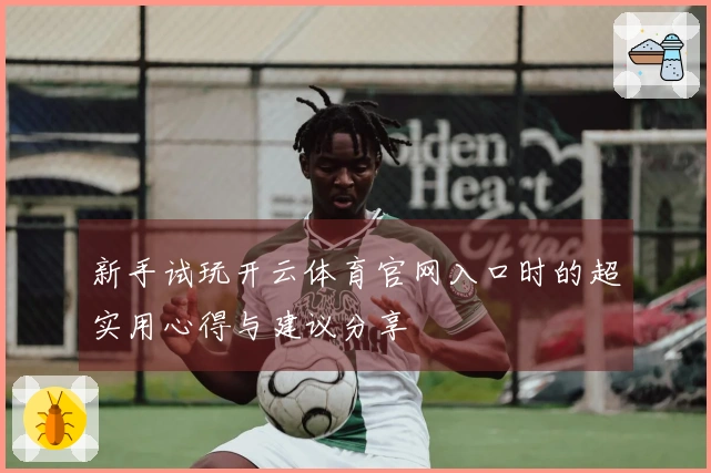 新手试玩开云体育官网入口时的超实用心得与建议分享