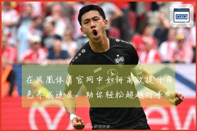 在凤凰体育官网中如何高效提升角色养成速度，助你轻松超越对手